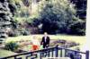 img019_small.jpg